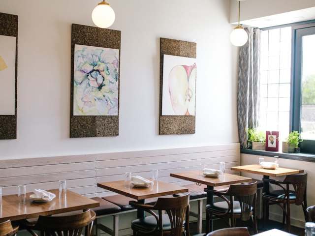 Daisies by @TheInfatuation