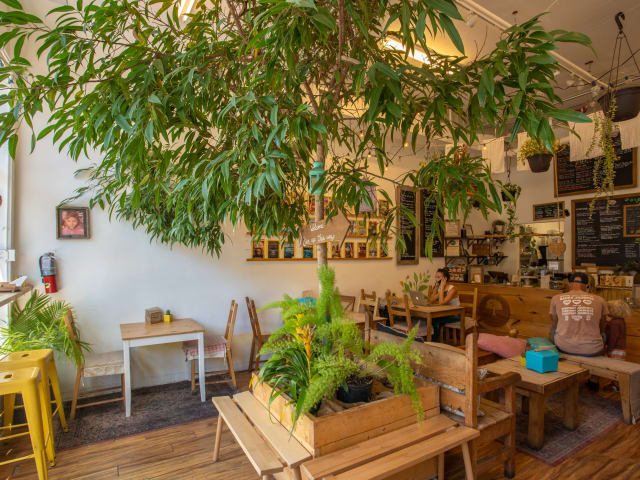 Under the Mango Tree by @TheInfatuation