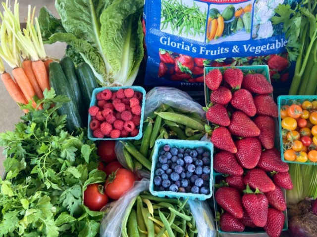 Tamai by Infatuation - Reviews