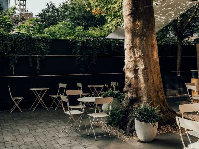 Public Records by @TheInfatuation