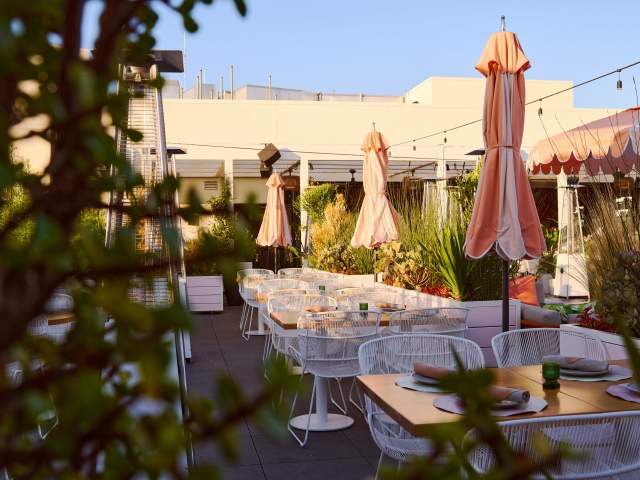 Canopy Club by Canopy Club