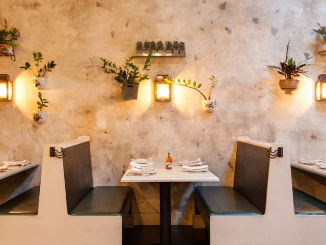 Alba Ray's by Virginia Mae Rollison