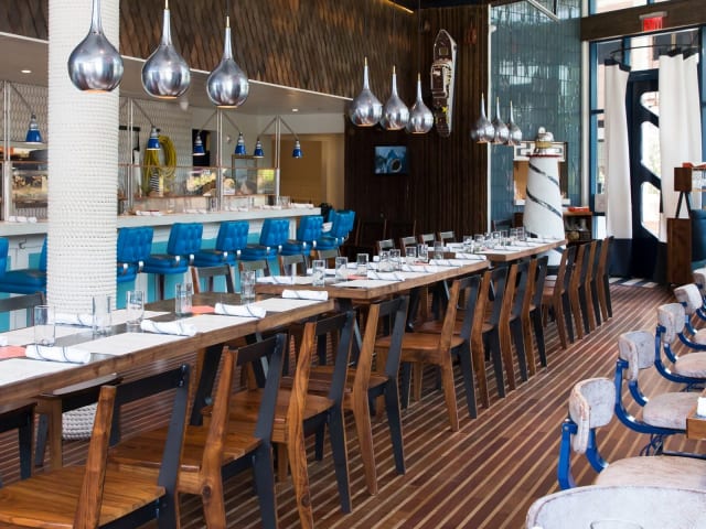 BeetleCat by Amy Sinclair