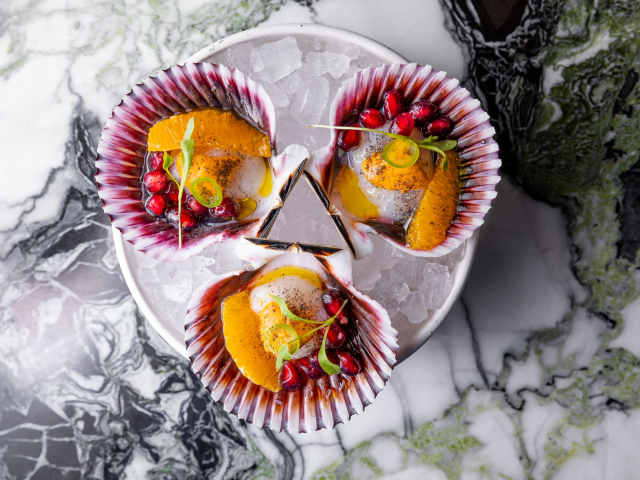 Ceviche Project by Jakob Layman