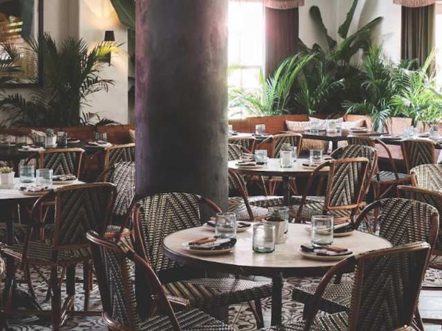 Gitano Jungle Tulum by Infatuation - Reviews