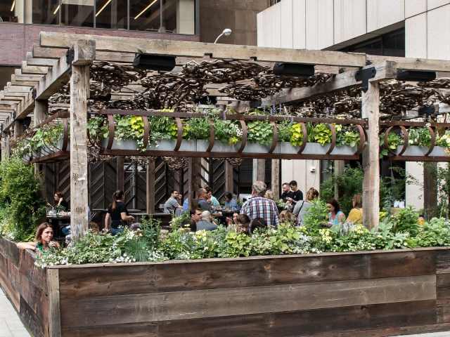 Harper's Garden by Kerry McIntyre