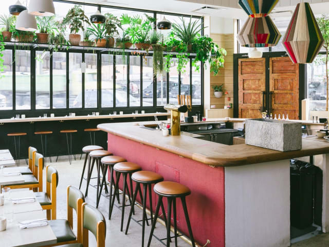 Llama Inn by Noah Devereaux