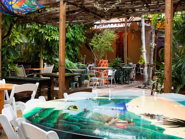 Naomi's Garden Restaurant & Lounge by Cleveland Jennings