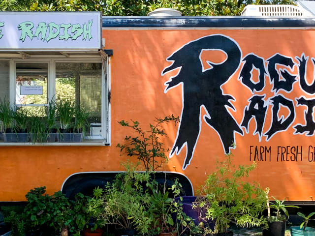 Rogue Radish by Nicolai McCrary