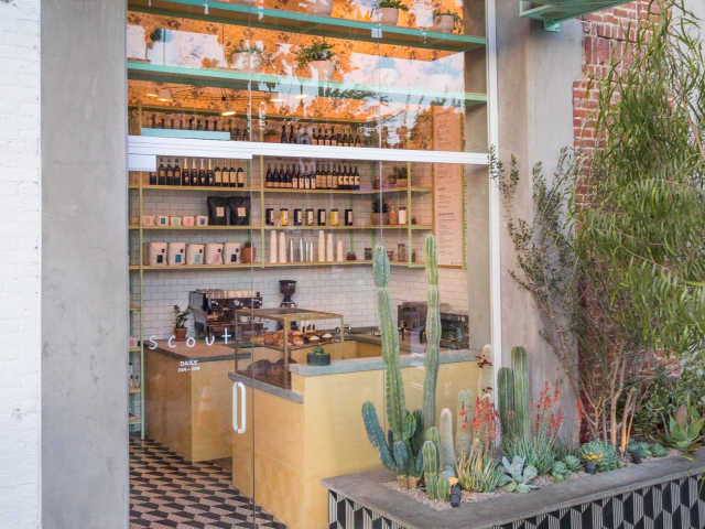 Scout by Jakob Layman