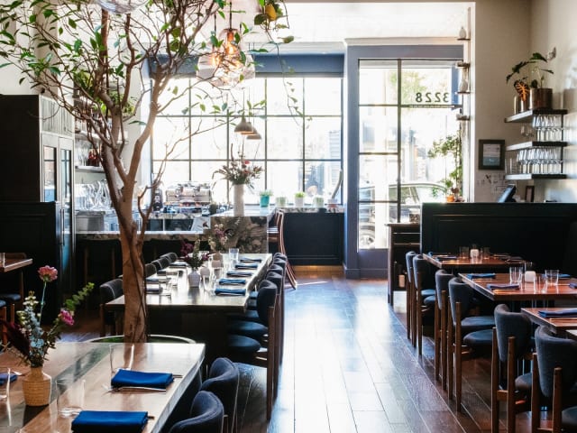 Sorrel by Krescent Carasso