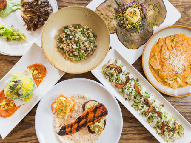 Vedge by Rachel Lerro