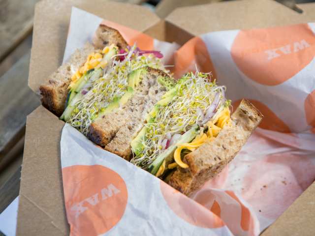 Wax Paper Frogtown by Jakob Layman