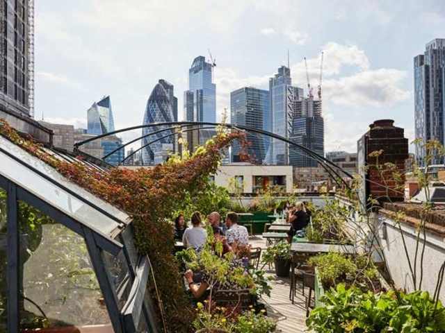 The Culpeper by @TheInfatuation