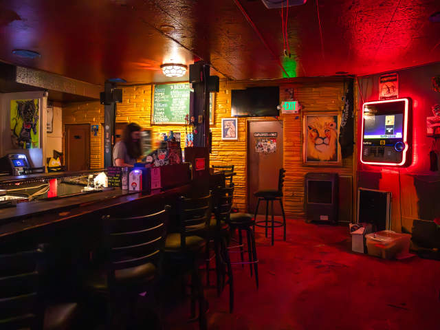 Lion's Lair by Kalli Wilkins