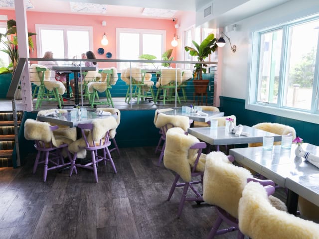 Little Fish by Madison Fender