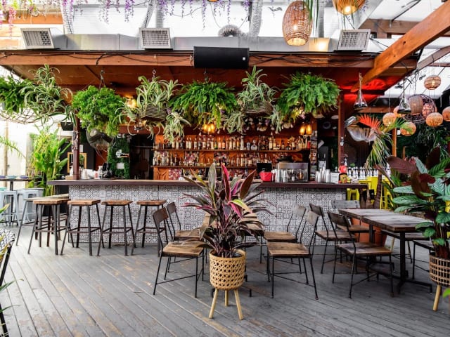 El Techo by Kimberly Kong