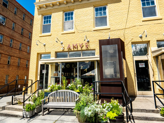 2 Amys by Nina Palazzolo