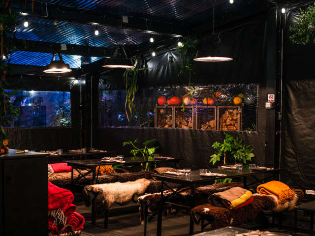 Acme Fire Cult by Aleksandra Boruch