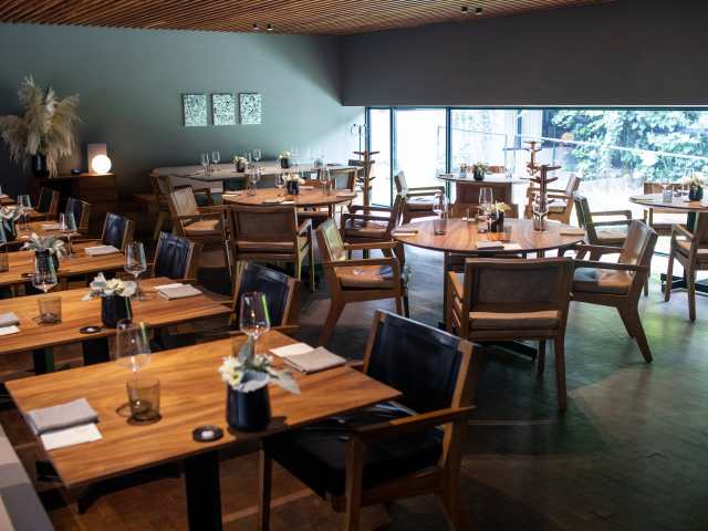 Pujol by Andrew Reiner