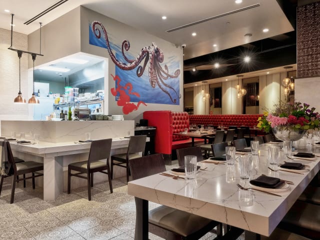 Anima by EDO by @TheInfatuation