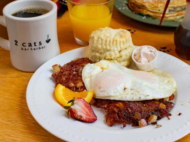 2 Cats Bar Harbor by Anne Cruz