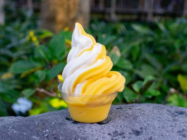 Sunshine Tree Terrace by Anne Cruz