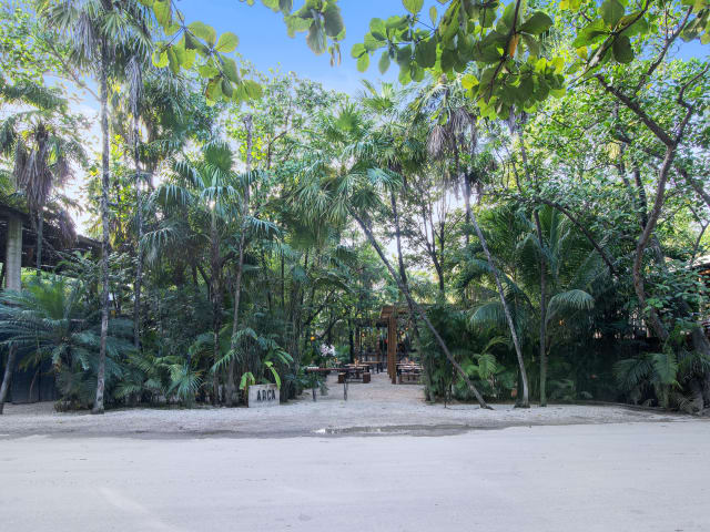 Arca Tulum by Gavin Higgins