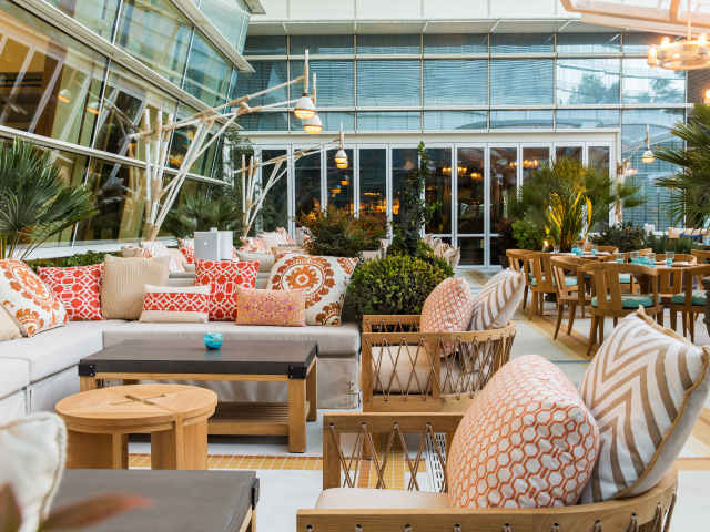 Salt & Ivy by Anthony Mair