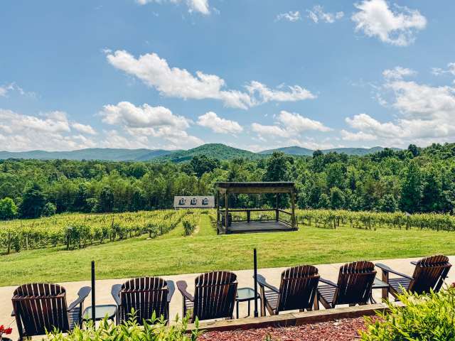 Ott Vineyards And Winery by Juli Horsford