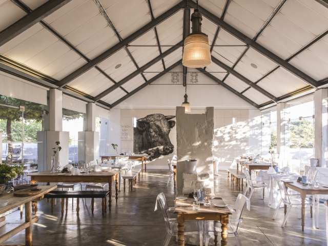 Babel at Babylonstoren by Babel