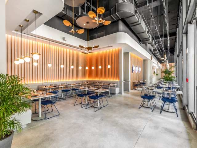 Belly Fish by Belly Fish