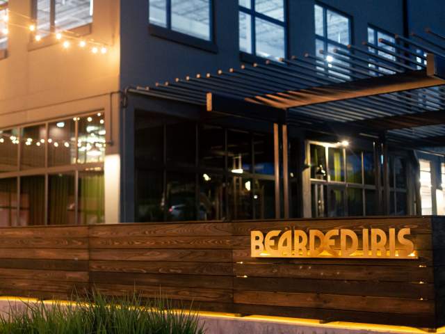 Bearded Iris - Sylvan Supply by Bearded Iris