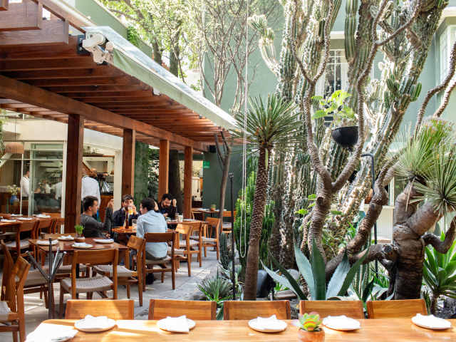 Botánico by Andrew Reiner