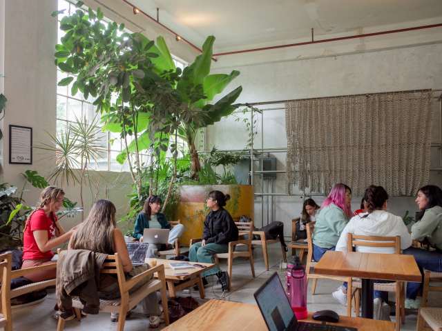 BUNA - La Tostadora by Andrew Reiner