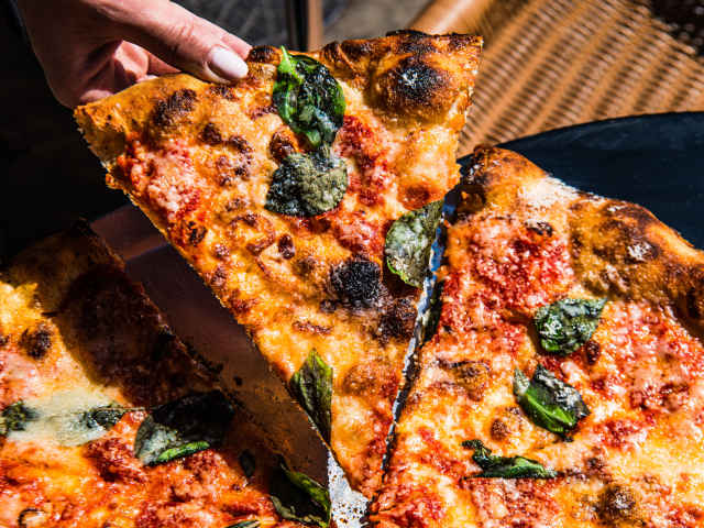 The Chancellors by Aleksandra Boruch