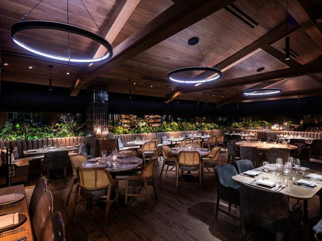 The Amalfi Llama - Miami by The Amalfi Llama