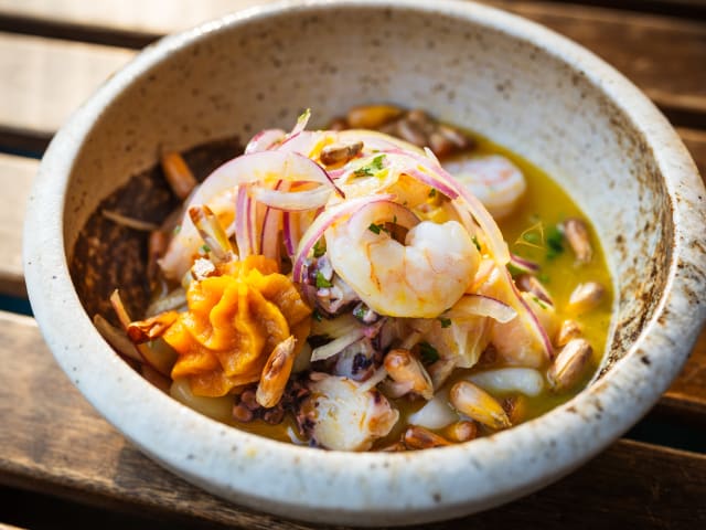 Jora by Kate Previte