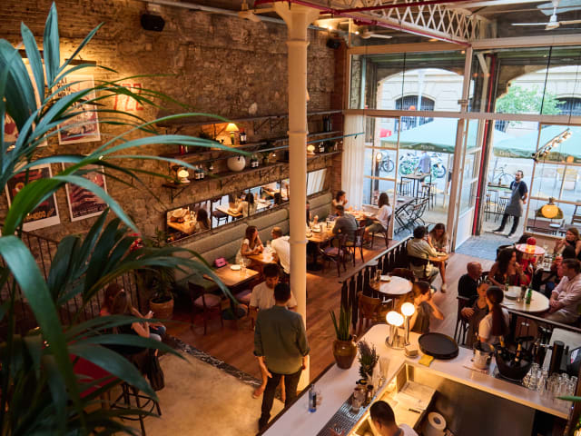 Armeria Palmetto by Anel González