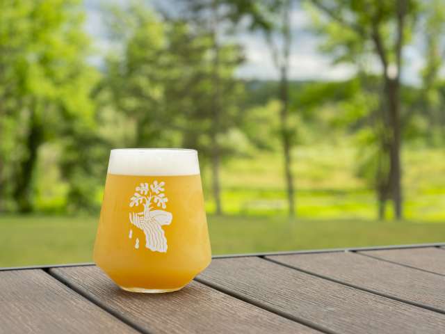 Drowned Lands Brewery by Meghan Spiro