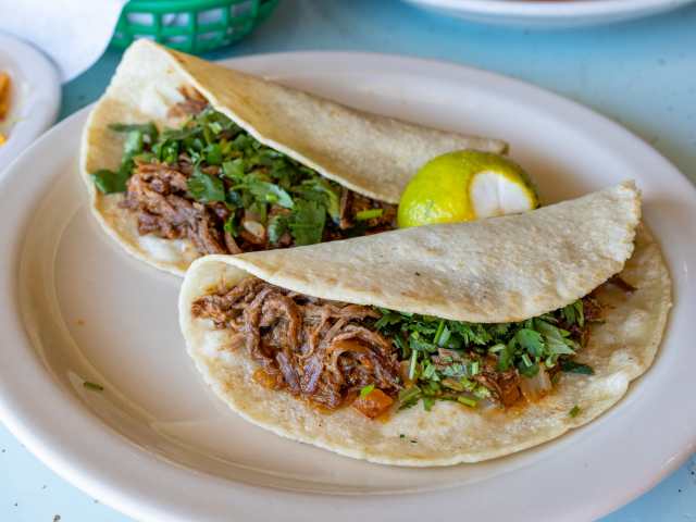 El Borrego De Oro by Taylor Hannan