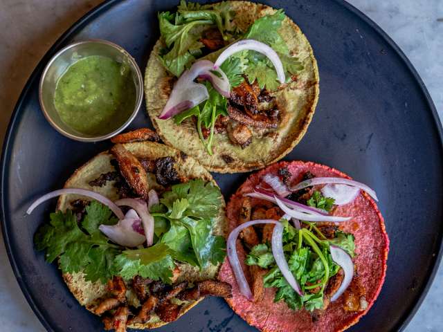 El Mezcal Cantina by NICOLE GUGLIELMO