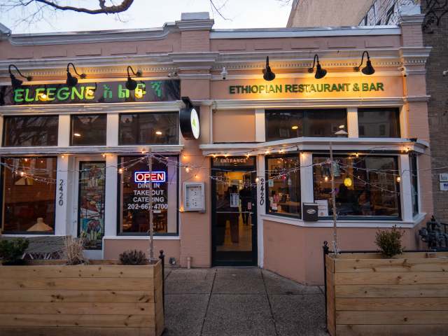 Elfegne by Nina Palazzolo