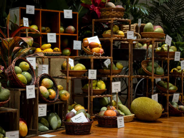 Fairchild Tropical Botanic Garden by Fairchild