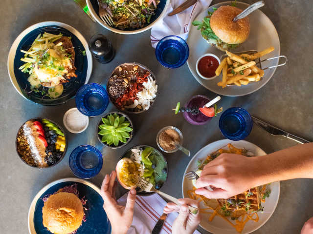 Five5eeds by Britt Chudleigh