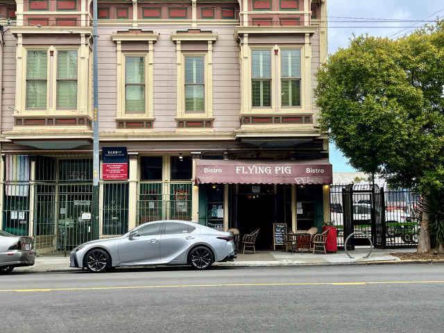 The Flying Pig by Ricky Rodriguez