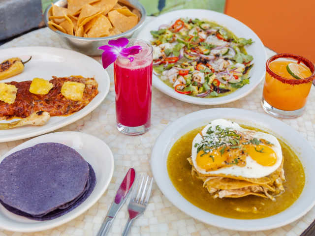 Gallo Blanco by Kaitlin Woods