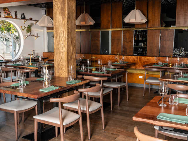 Hed 11 by Carly Hackbarth