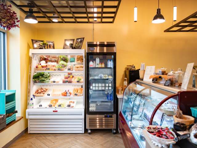 Honeysuckle Provisions by NICOLE GUGLIELMO