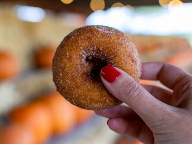 Wallkill View Farm Market by Infatuation - Reviews